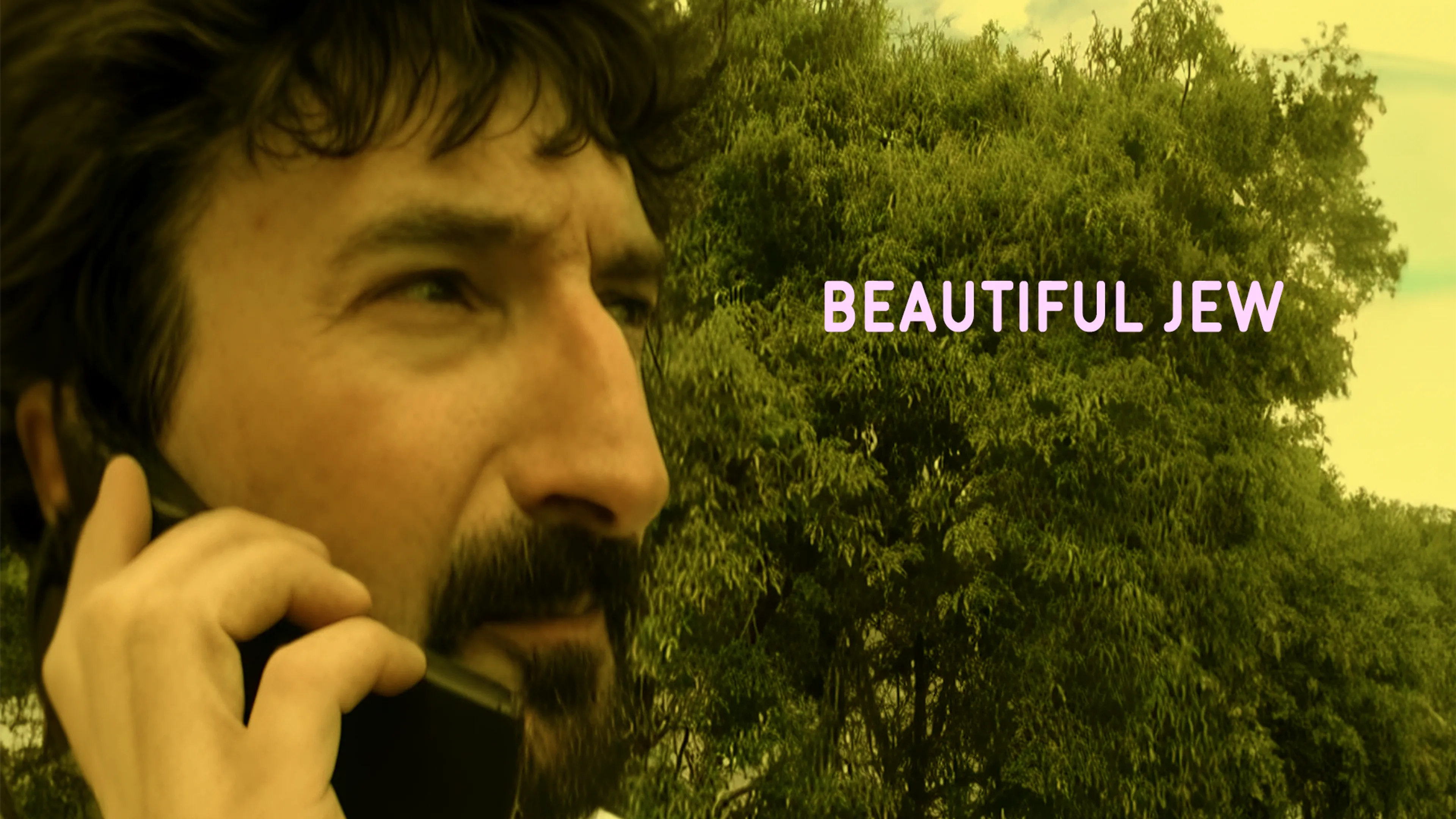 Beautiful Jew poster